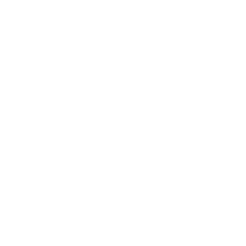 Repaire Chausseur